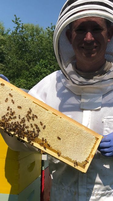 Capped frame of Eastern Shore wildflower honey