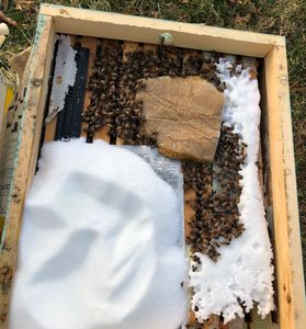 "Mountain cap" supplemental sugar feed for weaker hive.