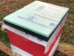 Shim and insulation on hive.