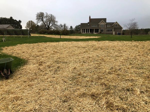 Wildflower meadow seeded on April 25, 2018.