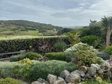 Lush garden with diverse plants and stone borders.