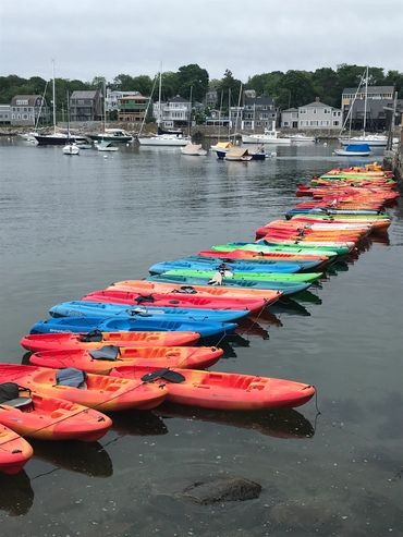 Looking off the deck to the right, you will often see the kayaks from North Shore Kayak Center