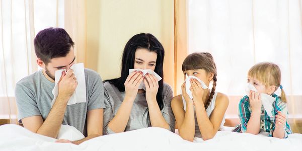 Famille incommodé par présence d'agents allergènes.