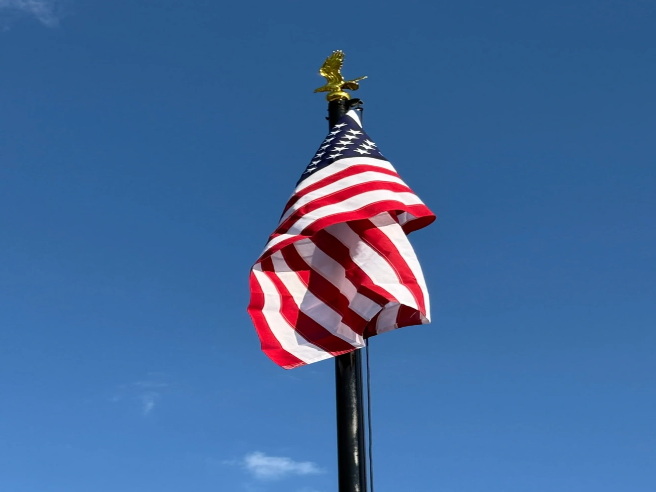 Added hinge to flag pole for easy maintenance.