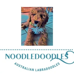 NoodleDoodles LLC

