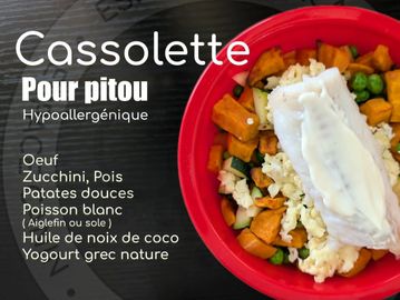 Hypoallergenic pet casserole with fish, veggies, and yogurt in a red bowl.