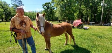A Man Holding a Brown and White Color House on a Field