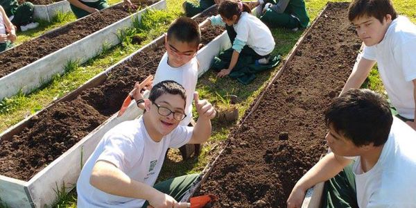 Niños y Adolescentes de la Escuela Especial Tiempo de Crecer en Adrogué, trabajando en la huerta