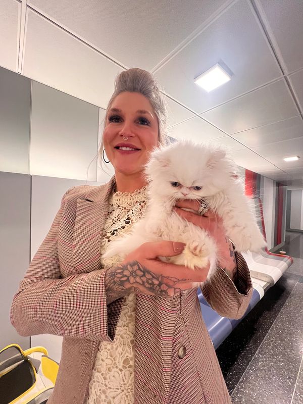 Happy kitten owner holding her white persian new kitty at the airport