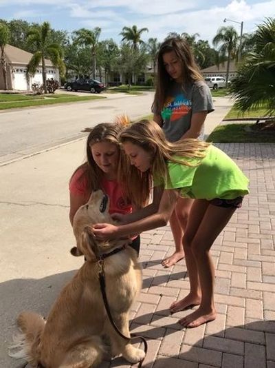 Stella's homecoming after a 2-week board and train.  Kids were elated to see her!