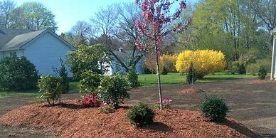 Cape Cod Landscaping 