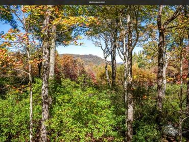 Autumn mountain view from Woodsong Lake Toxaway Retreat with colorful foliage, wooded privacy, and seasonal Blue Ridge scenery in North Carolina.