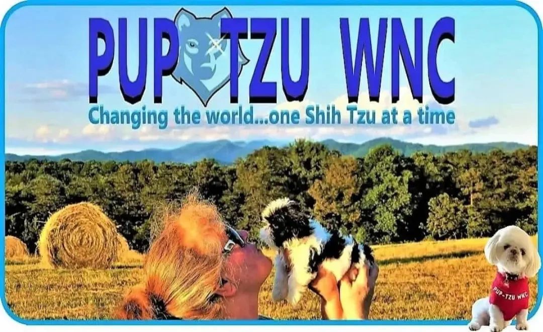 Shih Tzu puppies for sale in NJ-ND-OH-OR-PA-RI-SD-UT-NY-NE by Pup-Tzu WNC shows a lady with a pup.