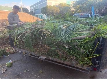 Man standing next to a trailer filled with palm leaves and garden waste.