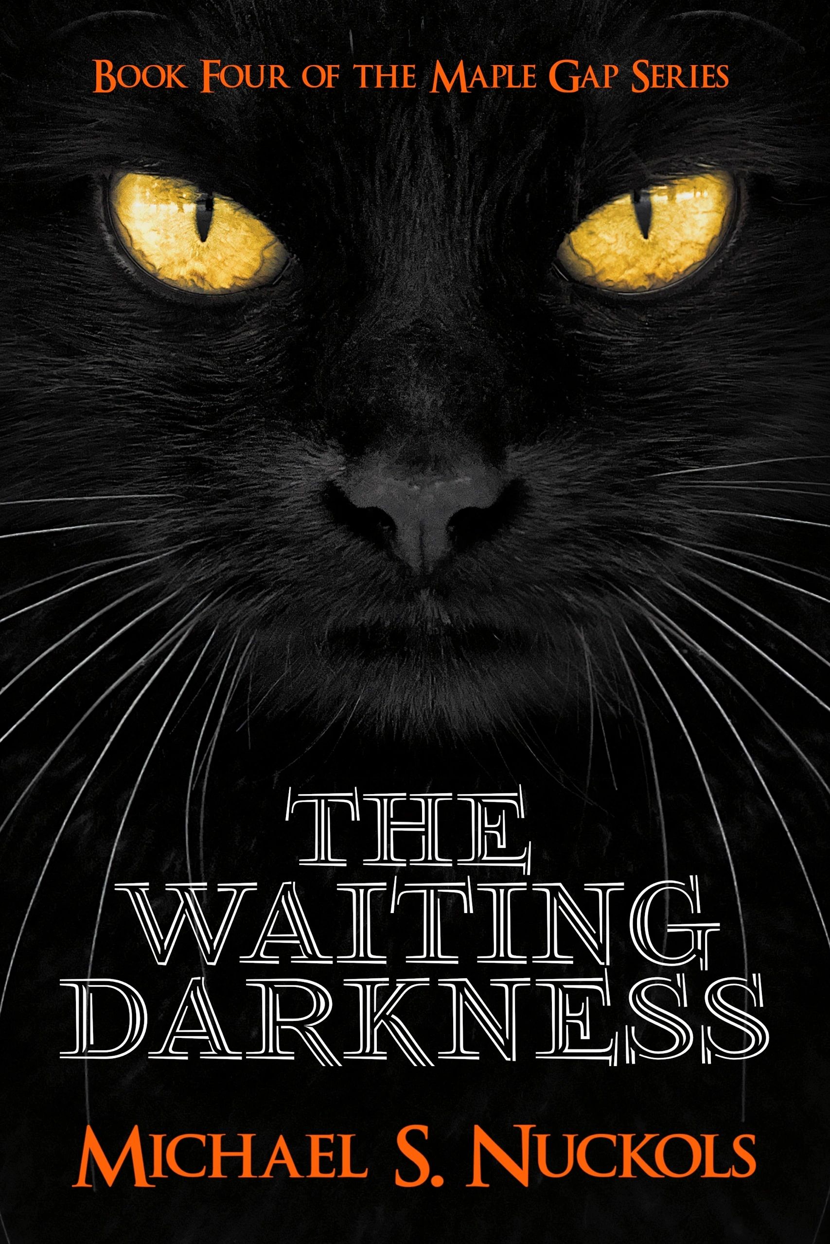 The cover of The Waiting Darkness shows a black cat
