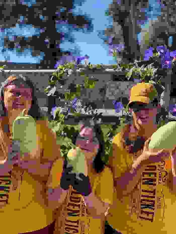 image296