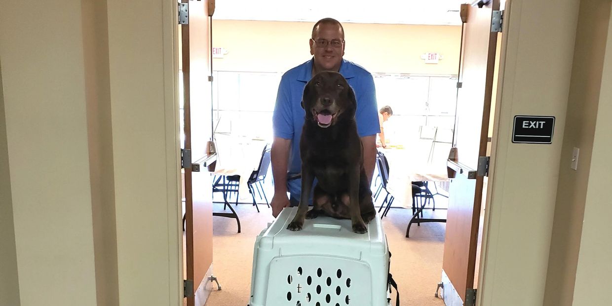 Dog, dog trainer, Josh Funk, Dog Obedience Training, Dog Training, Southern Illinois, Carbondale
