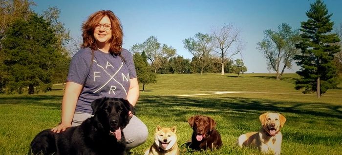 Dog trainer sitting with a group of dogs.