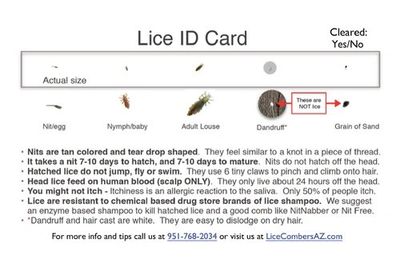 lice removal