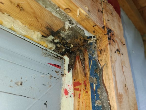 Wooden frame with mold and dirt marks.