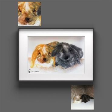 tierportraits bunt sketchus Tierzeichnungen