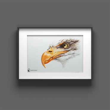 tierportraits bunt sketchus Tierzeichnungen