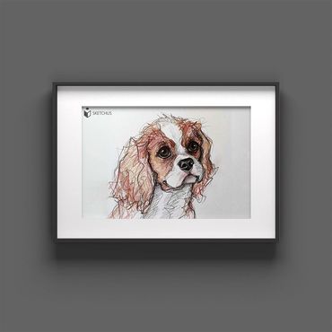 tierportraits bunt sketchus Tierzeichnungen