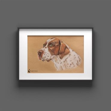 tierportraits bunt sketchus Tierzeichnungen