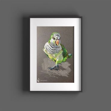 tierportraits bunt sketchus Tierzeichnungen