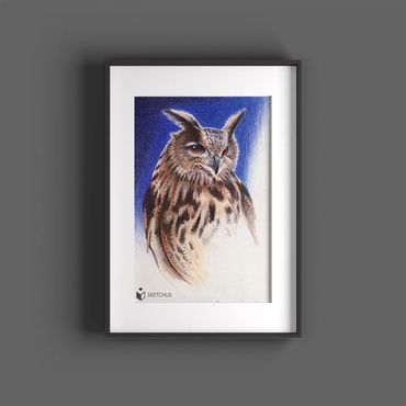 tierportraits bunt sketchus Tierzeichnungen