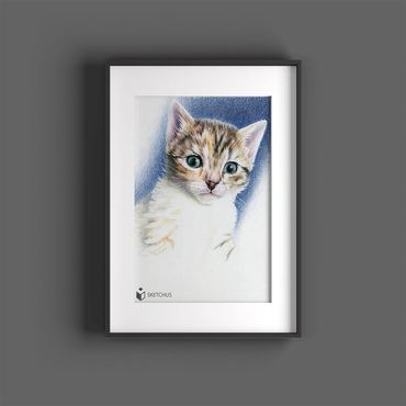 tierportraits bunt sketchus Tierzeichnungen