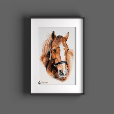 tierportraits bunt sketchus Tierzeichnungen