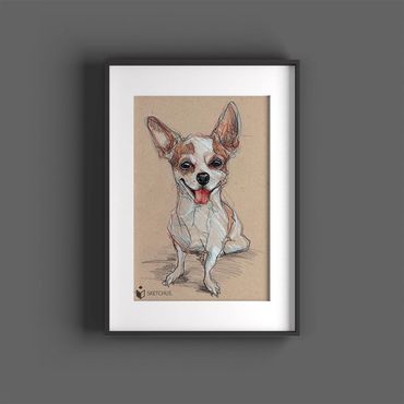 tierportraits bunt sketchus Tierzeichnungen