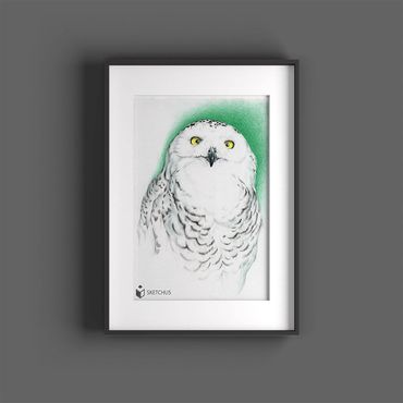 tierportraits bunt sketchus Tierzeichnungen