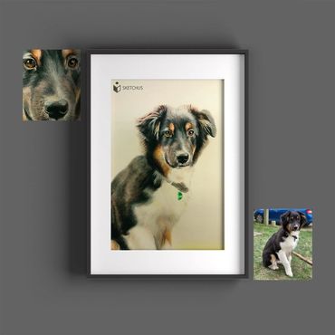 tierportraits bunt sketchus Tierzeichnungen