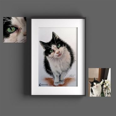 tierportraits bunt sketchus Tierzeichnungen