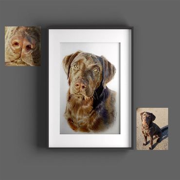 tierportraits bunt sketchus Tierzeichnungen