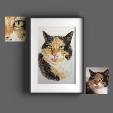 tierportraits bunt sketchus Tierzeichnungen