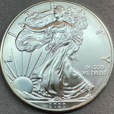 1 oz US American Eagle Silver Dollar