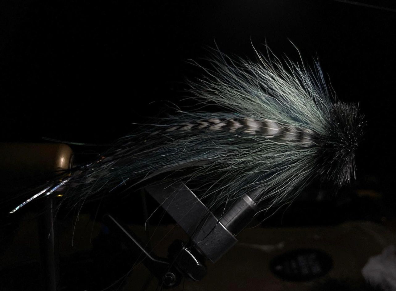 Blue Buford musky fly in black background