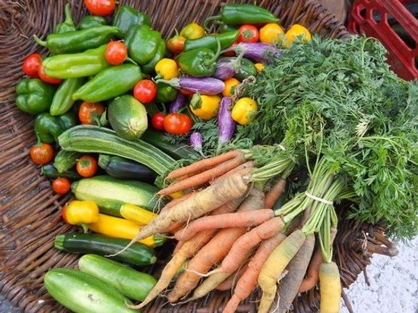 Image of Vegetables, Lunenburg Farmers Market near Lunenburg Hotels and Lunenburg Accommodations