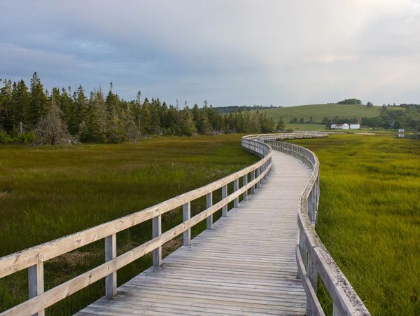 Rissers Beach Boardwalk near Petite Riviere General Store, Nova Scotia, Rissers Beach weather