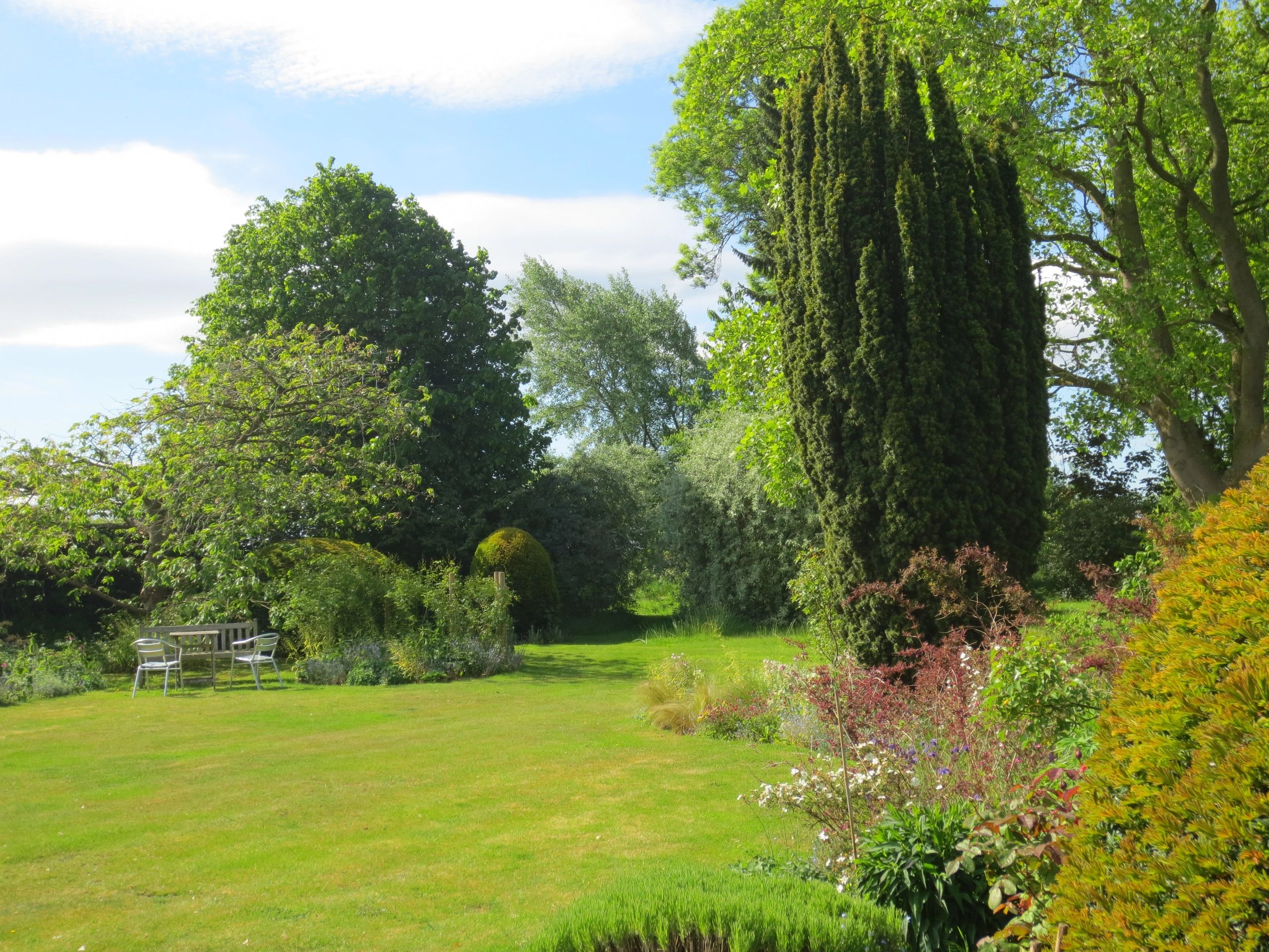 In a wonderful East Bridgford Garden from Virtual Open Gardens 2020