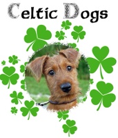 Celtic Dog Walker