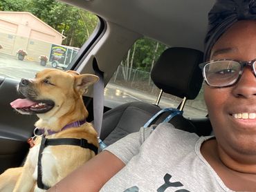 A woman and her happy dog sitting inside a car.