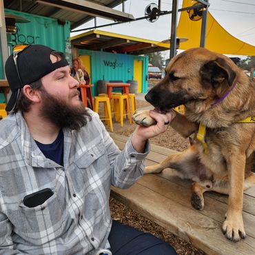 Man and dog sharing a moment at an outdoor bar called Wagbar.