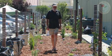 community food bank
mark paxton
small space gardens
gardening
growing hearts