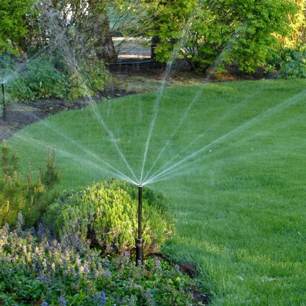 A garden sprinkler watering lush green grass and plants on a sunny day.