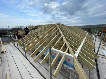 Roof replacement structure