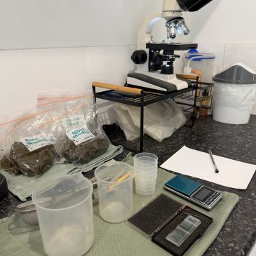 Microscope and lab equipment on a table with soil samples.